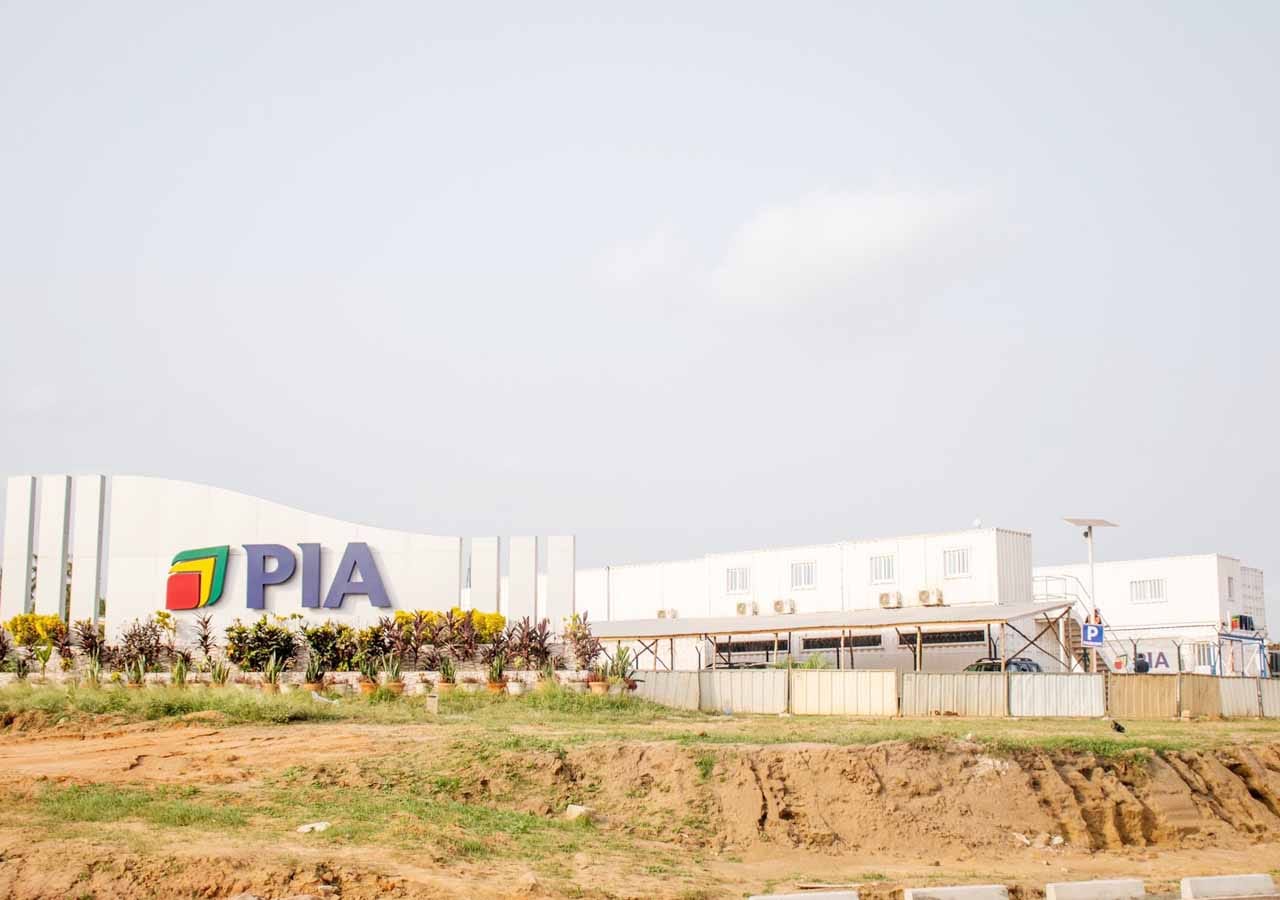 Rich results on Google's SERP when searching for 'PIA'