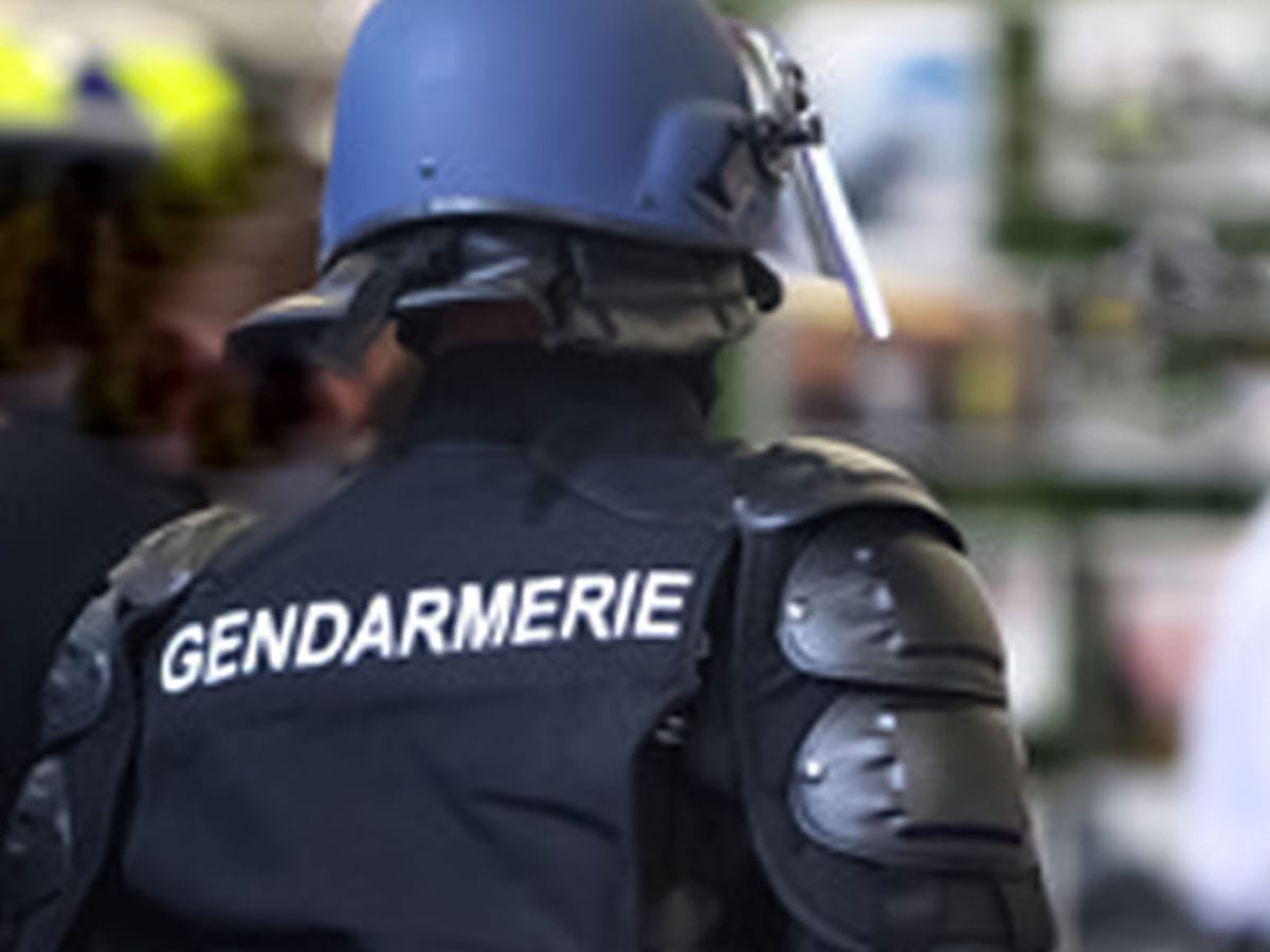 Rich results on Google's SERP when searching for 'gendarmes'