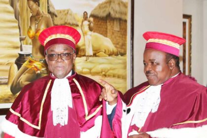 Cour constitutionnelle