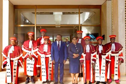 la cour constitutionnelle