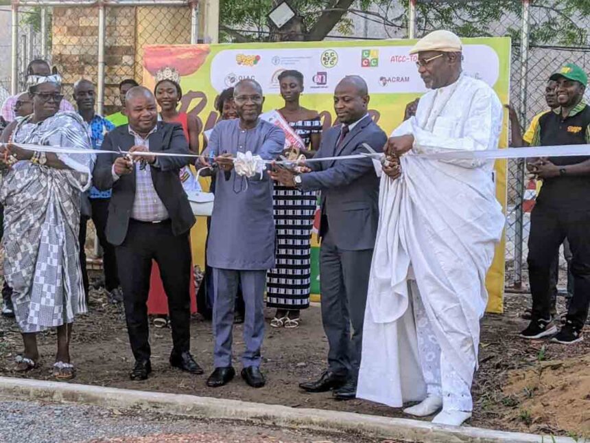 festival du café-cacao