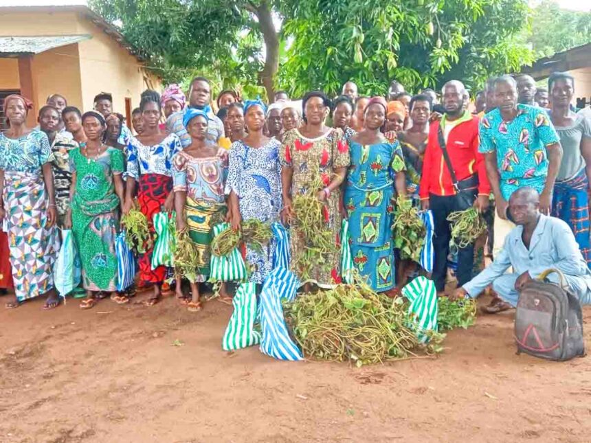 organisations féminines