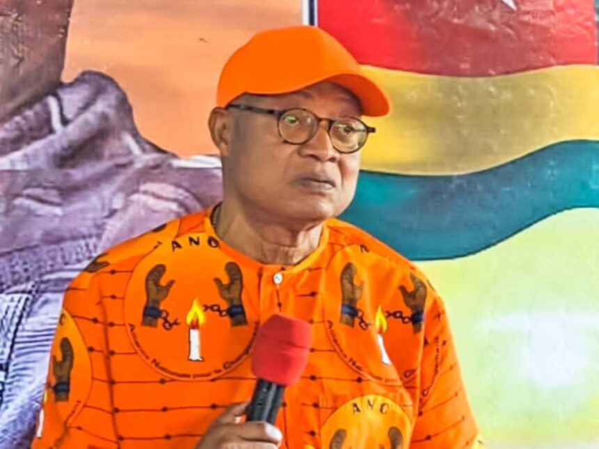 nouvelle constitution