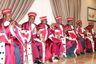 la cour constitutionnelle