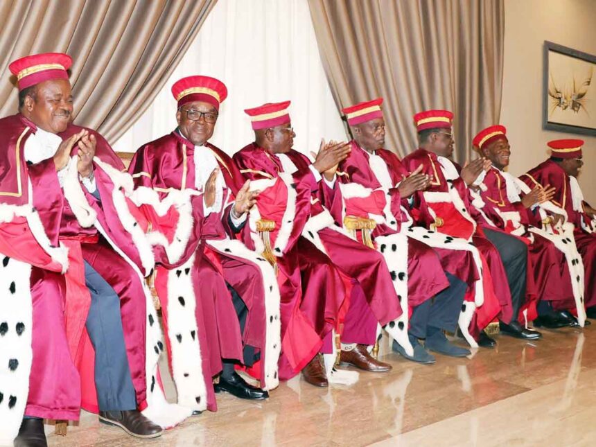 la cour constitutionnelle