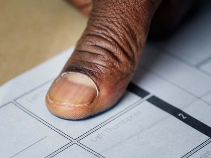 élections sénatoriales