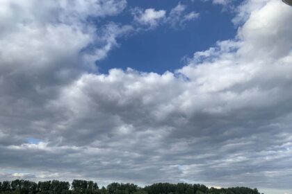 prévisions sous-saisonnières