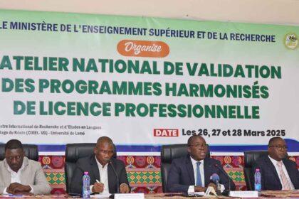 Licences professionnelles