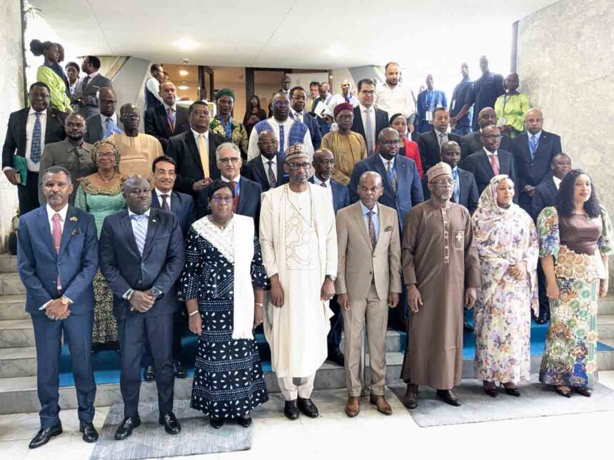 Alliance politique africaine