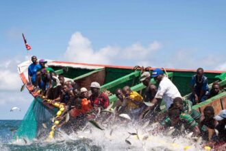 pêche maritime et lagunaire