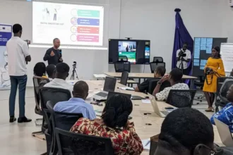 Digital Innovation Loop