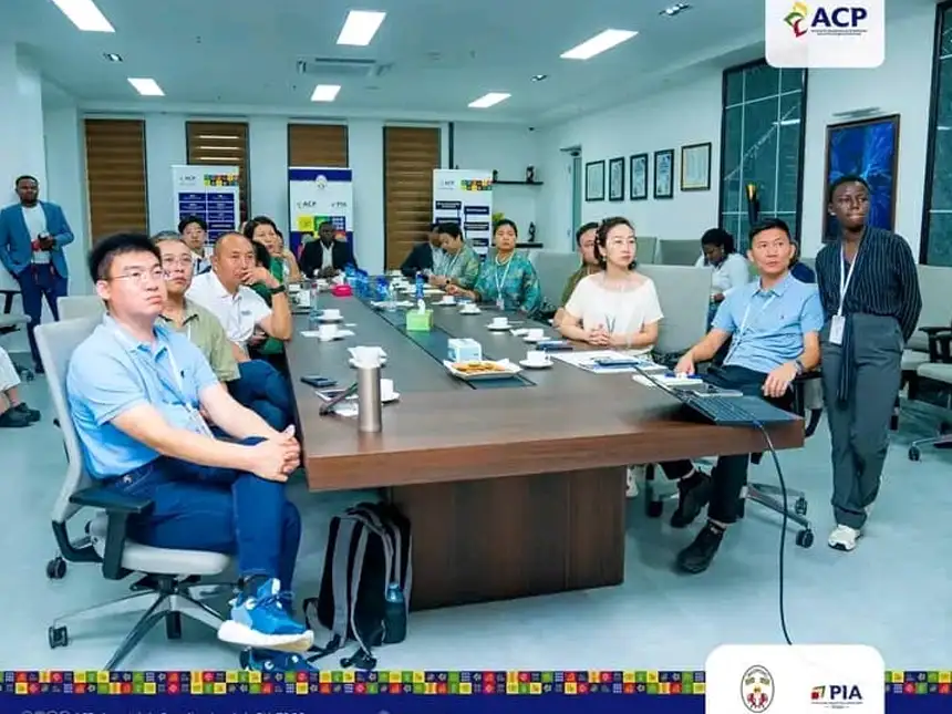 investisseurs chinois