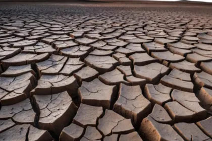 températures élevées