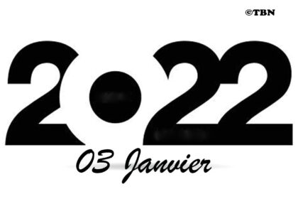 Rich results on Google's SERP when searching for '3 janvier'