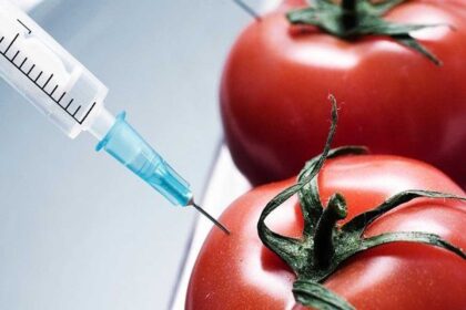 Rich results on Google's SERP when searching for 'pandémie'