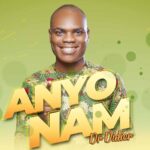 Rich results on Google's SERP when searching for 'Anyo Nam'