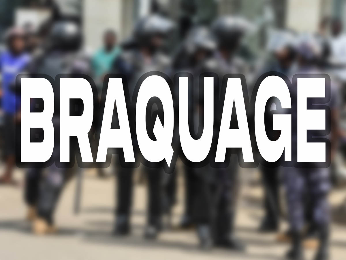 Rich results on Google's SERP when searching for 'Braquage'