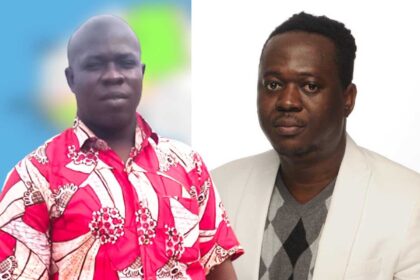 Rich results on Google's SERP when searching for 'Mali'