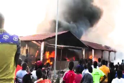 Rich results on Google's SERP when searching for 'Marché provisoire'