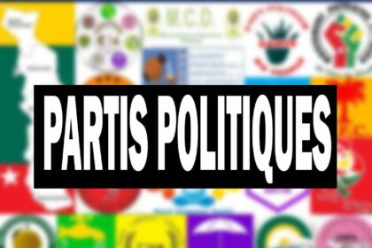 Rich results on Google's SERP when searching for 'Partis Politiques'