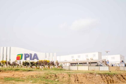 Rich results on Google's SERP when searching for 'PIA'