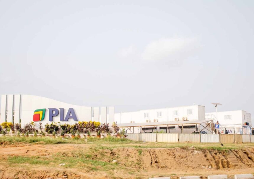 Rich results on Google's SERP when searching for 'PIA'