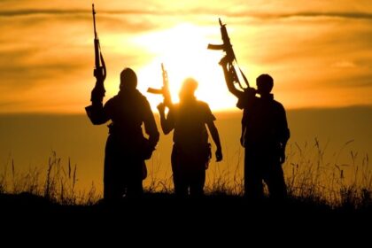 Rich results on Google's SERP when searching for 'Terrorisme'