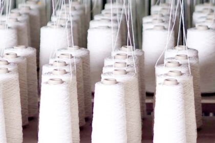 Rich results on Google's SERP when searching for 'ARISE IIP'