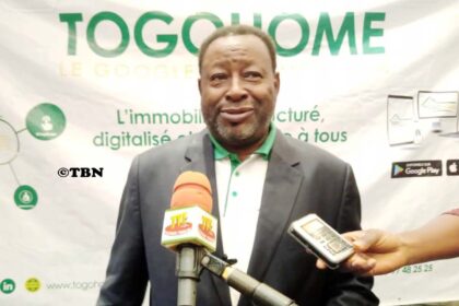 Rich results on Google's SERP when searching for 'Togo Home'