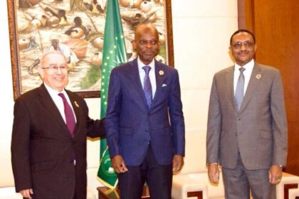 Rich results on Google's SERP when searching for 'Sahel'