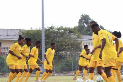 Rich results on Google's SERP when searching for 'Gabon'