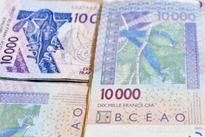 Rich results on Google's SERP when searching for 'FCFA'