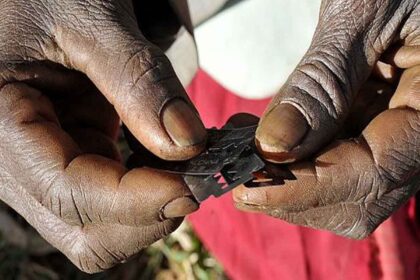 Rich results on Google's SERP when searching for 'Mutilations'