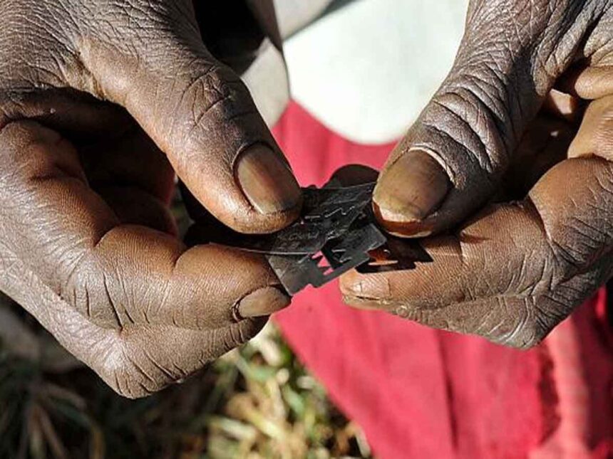 Rich results on Google's SERP when searching for 'Mutilations'