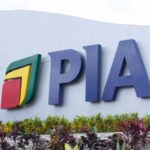 Rich results on Google's SERP when searching for 'PIA'
