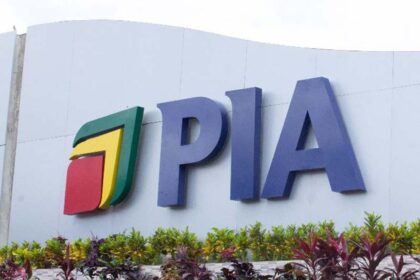 Rich results on Google's SERP when searching for 'PIA'