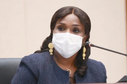 Rich results on Google's SERP when searching for 'PIP'