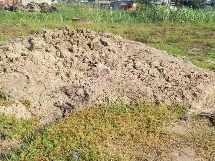 Rich results on Google's SERP when searching for 'Tamany'