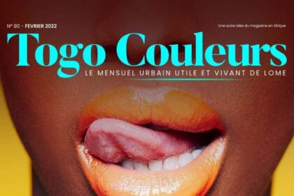 Rich results on Google's SERP when searching for 'Togo Couleurs'