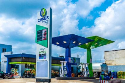 Rich results on Google's SERP when searching for 'Zener'