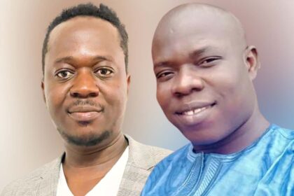 Rich results on Google's SERP when searching for 'Mali'