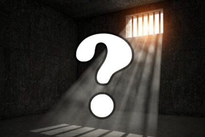 Rich results on Google's SERP when searching for 'Détenu Politique'