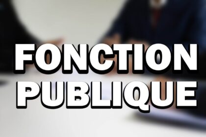 Rich results on Google's SERP when searching for 'Fonction publique'