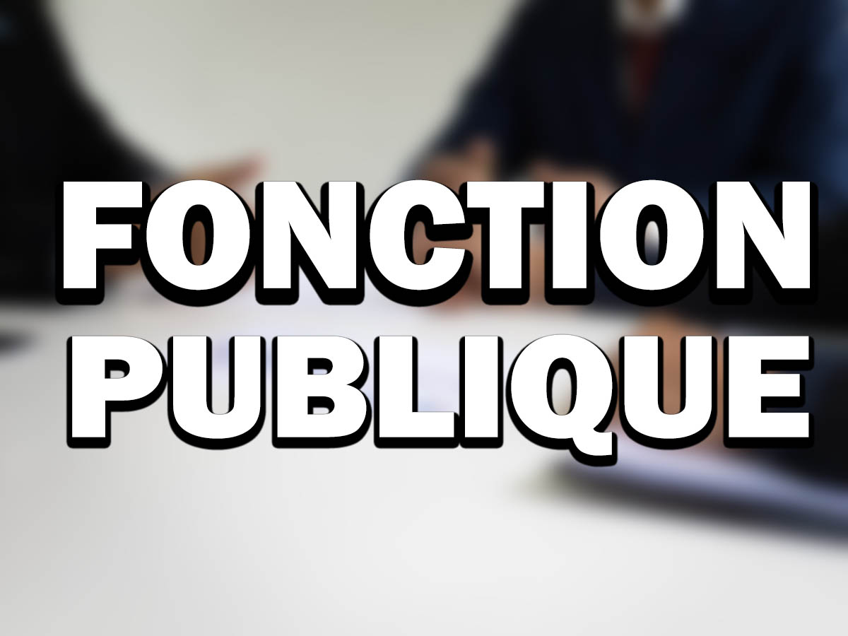 Rich results on Google's SERP when searching for 'Fonction publique'