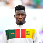 Lions indomptables