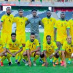 Eperviers du Togo