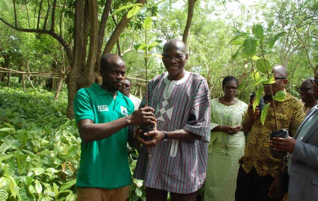 New Génération Café et Cacao