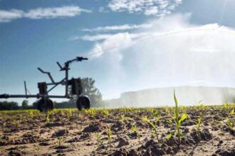 Agriculture