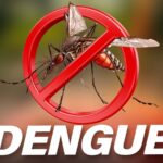 Cas de dengue