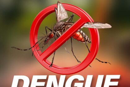 Cas de dengue